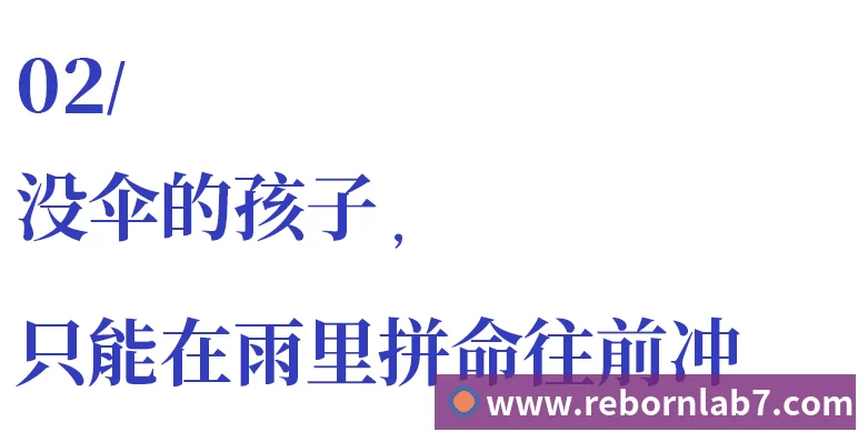 世界杯下单平台生态图