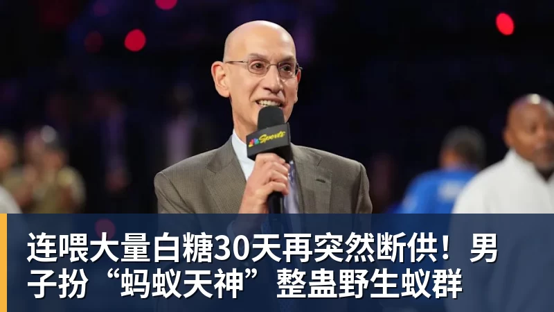 连喂大量白糖30天再突然断供!男子扮“蚂蚁天神”整蛊野生蚁群
